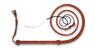 12 plait cowhide whips