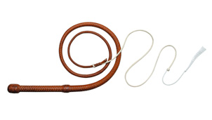 australian whips