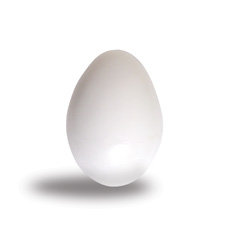 egg